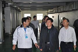 河北省委常委、副省長(zhǎng)楊崇勇到我公司視察