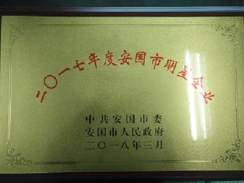 我公司被安國(guó)市委、市政府評(píng)為二〇一七年度明星企業(yè)